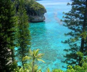 yapboz Resifleri ve ekosistemler, Yeni Kaledonya, Pasifik Okyanusu bulunan Fransız takımadalar.